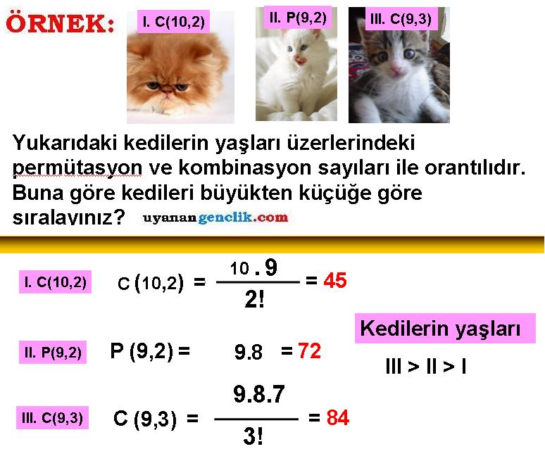 8.Sınıf Matematik - Kombinasyon - Çözümlü Sorular - Olasılık