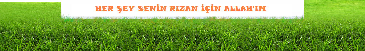 Uyanan Gen�lik